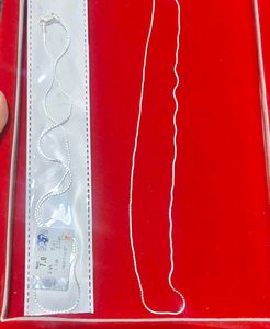 Elegant Silver Chain Necklace