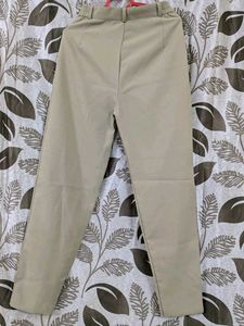 Beige Pleated Trousers - Classic Style