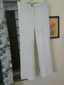 Popwings Women Casual  Solid pant