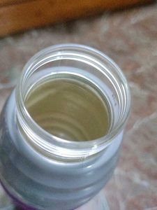 Set of 4 Cello Insulated Water Bottle