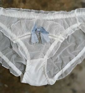 Sheer White Lace panty