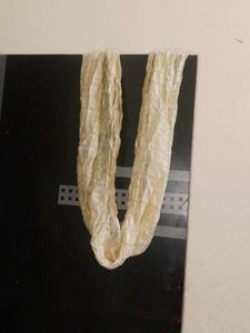 Elegant Cream Dupatta