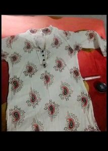 Elegant Paisley Print Kurti