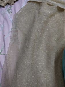 Sparkly Beige Net Dupatta
