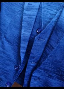 Blue Textured Coat pant