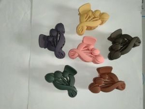 Set of 6 Matte Finish Hair Claw Clips