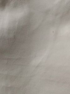 Cream Casual Pant (Men's)