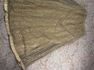 Embellished Ethnic Skirt