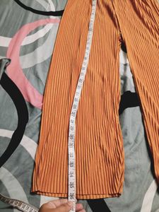 Pleated Wide-Leg Pants