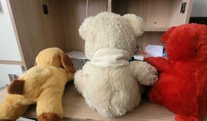 FREE!!!!!sleeping bag with Set Of Teddy Bears.