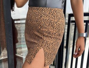 Animal Print Mini Skirt