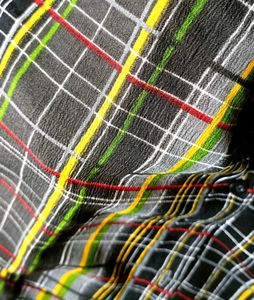 Checked Shirt