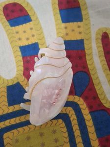 Shell Hair Clip