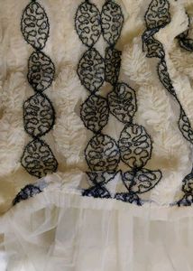 Elegant indo wastern cindrella skirt