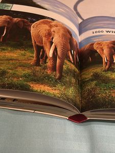 6000 Amazing Facts Book