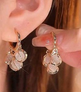 Sparkling korean Earrings