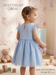 Adorable Blue Tulle Dress with Butterfly Accent