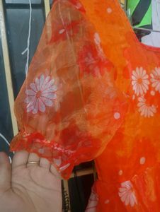 Floral Organza Midi Dress