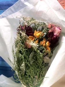 Dry Flower