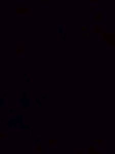 Test 1