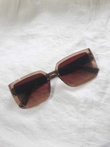Gucci inspired brown Sunglass