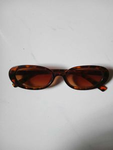 Oval Tortoiseshell Sunglasses