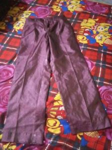 Shiny Purple Pants