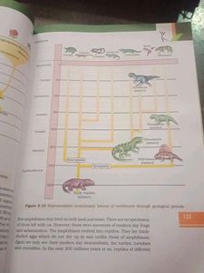 Biology Textbook for Class XII