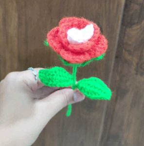 Handmade Crocheted colorful Roses 💐