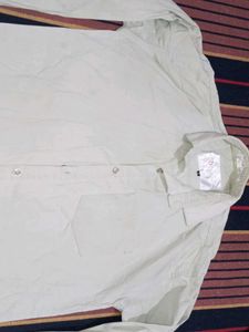 Men's Classic Long Sleeve Shirt light green