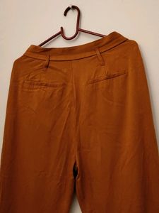 Stylish Rust Colored Pleated Trousers