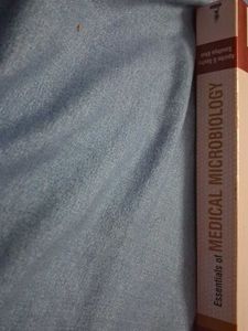 Essentials of Medical Microbiology 4th Ed
