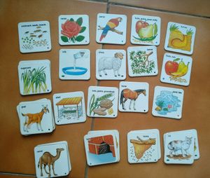 Vintage Educational Flashcards Set 30 cards
