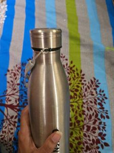 Green Kiwi Stainless Steel Water Bottle