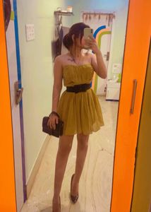 Mini Skater Dress Without Belt