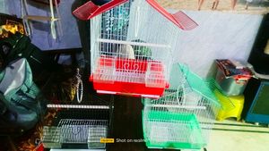 Cage Pijara