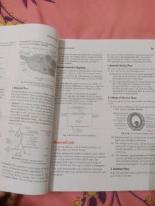 Biology Textbook - Menstrual Cycle