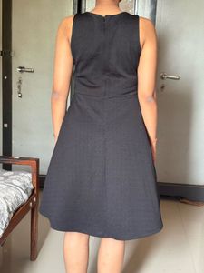 Classic Black Sleeveless Fit and Flare Dress