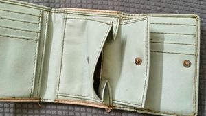 Caprese Pastel Leather Wallet
