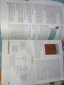 Class VIII Science Textbook