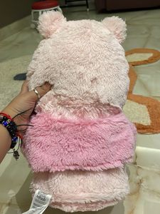 Winnie the Pooh plushie with blanket