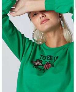 Green Cropped Bee