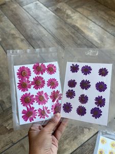 Pressed Daisies Sheets Combo