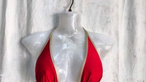 Red Bikini Top