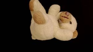 Adorable Cream Teddy Bear