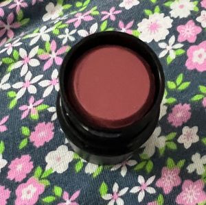 NARS The Multiple Stick
