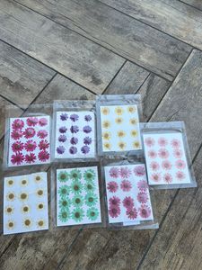 Pressed Daisies Sheets Combo