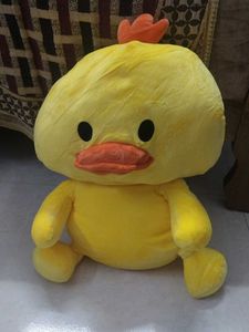 duck