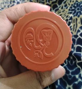 Divya Medohar Vati - Herbal Supplement