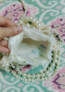 Price Drop. Pearl Beaded Potli bag ✨